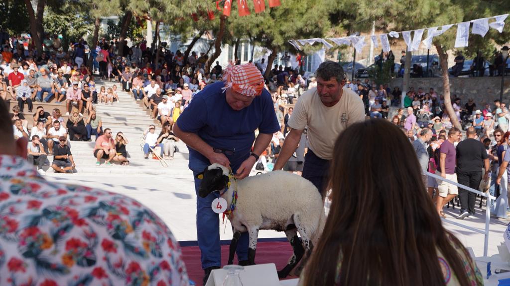 koyun OVACIK FESTİVALLE RENKLENDİ ‘SAKIZ GÜZELLERİ’ YARIŞTI, EN İYİ ‘ÇEŞME KAVUNU’ SEÇİLDİ