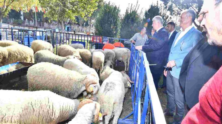 Yerel üreticiye ve kırsala destek sürüyor Ödemişli üreticiye küçükbaş hayvan ve yem bitkisi tohumu dağıtıldı “Başka Bir Tarım Mümkün” vizyonu doğrultusunda Türkiye’ye örnek bir kalkınma modeline öncülük eden İzmir Büyükşehir Belediyesi, yerel üreticiye ve kırsala desteğini sürdürüyor. Ödemiş'te 9'u kadın 59 üreticiye 233 küçükbaş hayvan ile 28 üreticiye yem bitkisi tohumu dağıtıldı. Üreticiler her zaman yanlarında yer alan Başkan Soyer’e teşekkür etti. Küçük üreticiyi destekleyerek kırsal kalkınmayı büyüten İzmir Büyükşehir Belediyesi, Ödemişli üreticilerin yüzünü bir kez daha güldürdü. 125. Yıl Kültür Parkı’nda düzenlenen törenle 9'u kadın 59 üreticiye 233 küçükbaş hayvan, 28 üreticiye 975 kilogram süt otu tohumu ile 425 kilogram Macar fiği tohumu dağıtıldı. Törene İzmir Büyükşehir Belediyesi Başkan Vekili Mustafa Özuslu, Ödemiş Belediye Başkanı Mehmet Eriş, Beydağ Belediye Başkanı Feridun Yılmazlar, Bilecik Belediye Başkan Vekili Melek Mızrak Subaşı, İzmir Köy-Koop Birliği Başkanı Neptün Soyer, siyasi parti ve kooperatif temsilcileri, muhtarlar ve üreticiler katıldı. “Satmayalım, besleyelim ve sahip çıkalım” Üreticinin İzmir Büyükşehir Belediye Başkanı Tunç Soyer'in “Başka Bir Tarım Mümkün” vizyonu doğrultusunda desteklendiğini hatırlatan İzmir Büyükşehir Belediyesi Başkan Vekili Mustafa Özuslu, tarım ve hayvancılığın önemine dikkat çekti. Mustafa Özuslu, kırsal kesimde köylülerin gerekli desteği alamadığı için kentlere göç ettiğini, Büyükşehir Belediyesi'nin de iç göçü engellemek, tarımın yanı sıra hayvancılığı da verimli günlerine kavuşturmak için yoğun çaba sarf ettiğini belirtti. Özuslu, “Küçük üreticinin desteklenmesi çok önemli. Bereketi ile gelsin, çoğalsın ve daha fazla olsun. Satmayalım, sahip çıkalım. Sütünden, etinden faydalanalım” dedi. “Büyükşehir’in bereket ve kalkınma projesi” Ödemiş Belediye Başkanı Mehmet Eriş ise kentlerin suyunu, böceğini, ağacını , kuşunu, insanını, toprağını birlikte düşünmenin gerekliliğine işaret ederek, “O zaman projeler kalıcı ve değerli olur. Bu proje aynı zamanda bereket ve kalkınma projesidir. Üreticinin koyun, keçi, yemlerine kadar düşünen ve 'Artık yeter. Başka bir tarım yapmamız gerek' diyen Tunç Başkanımıza sevgilerimizi gönderiyoruz” dedi. “Umudumuzu kaybetmek üzereydik” Bergama Çamavlu Tarımsal Kalkınma Kooperatif Başkanı ve Çamavlu Köyü Muhtarı Mustafa Kocataş ise İzmir Büyükşehir Belediye Başkanı Tunç Soyer'in göreve geldikten sonra 'Başka Bir Tarım Mümkün' sloganıyla çok güzel işler yaptığını söyledi. Kocataş, “Biz de İzmir'in en kuzeyinden, Bergama'nın Kozak yaylalarından, Çamavlu Köyü üreticilerinin ürettiği hayvanları, İzmir'in en güneyinde Ödemişli üreticilerimize getirdik. Bereketli olmasını diliyorum. Tam küçükbaştan para kazanmadığımızı düşünmeye başlamışken, umudumuzu kaybetmek üzereyken 'Başka Bir Tarım Mümkün' vizyonu bize umut oldu. Umut doğdu. Üretim hızlandı. İzmir'in dört bir yanındaki üreticilerimiz de bu umuda tutundu. Üreticinin yanında olan Tunç Başkana çok teşekkür ediyorum” dedi. “Bizi unutmadığınız için teşekkür ederiz” Törende konuşan kadın üreticiler de İzmir Büyükşehir Belediye Başkanı Tunç Soyer'e, üreticiye verdiği desteklerden dolayı teşekkür etti. Köy sakinlerinden Faden Koçlu hayvancılık yaptıklarını belirterek, “Siz destekleyeceksiniz ki biz de üreteceğiz” dedi. Ayşe Özcan da çocukluğundan beri bu işi severek yaptıklarını ancak uzun süredir çok zorlandıklarını söyledi. Ürettiklerinin karşılığını alamadıklarını ifade eden Özcan, “Keşke imkanlarımız olsa da hayvanları kendimiz alsak. Ama bu mümkün değil. Bu imkanı bize sunan İzmir Büyükşehir Belediye Başkanımız Tunç Soyer'e teşekkür ediyorum” diye konuştu. Hatice Çarpan ise köyleri, kırsal kesimleri unutmadıkları için İzmir Büyükşehir Belediyesi'ne teşekkür ederek, “Koyunlarımızı çoğaltacağız. Çocuklarımızı okula gönderebileceğiz. Evimize bu sayede ekonomik katkıda bulunacağız” dedi. Konuşmaların ardından üreticiler çekilen kuralarla birlikte hayvanlarına kavuştu. Verilen destekler İzmir Büyükşehir Belediyesi Ödemiş’te bugüne kadar 51’i kadın 575 üreticiye 2 bin 276 küçükbaş hayvan dağıttı. Yem bitkisi üretimi ile bitkisel ve hayvansal üretimini desteklemek için bin 441 kilogram süt otu tohumu, 635 Macar fiği tohumu, 120 kilogram yem bezelyesi tohumu da dağıtıldı.