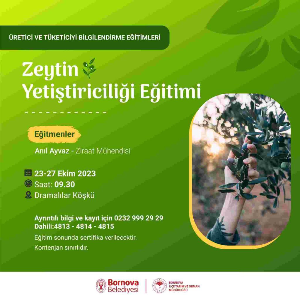 ZEYTİN YEMEĞİ DEĞİL, ZEYTİN ÜRETMEYİ ÖĞRENİYORLAR