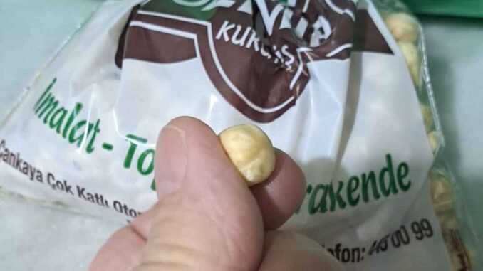 FINDIĞIN TANESİ 1,5 TL - İntroHaber