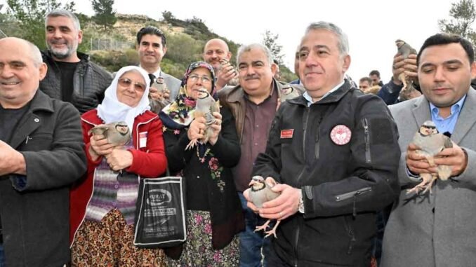 İzmirli Kadınların Gücü Sakız Ağacına Can Katıyor! - İntroHaber