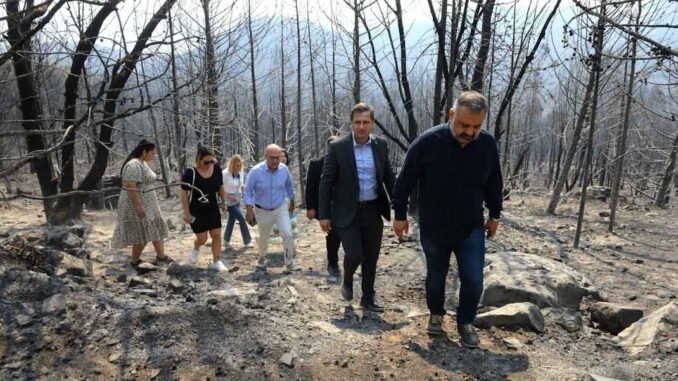 Yangın _20240818_140315
