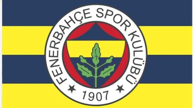 Fenerbahçe spor _20241111_005240