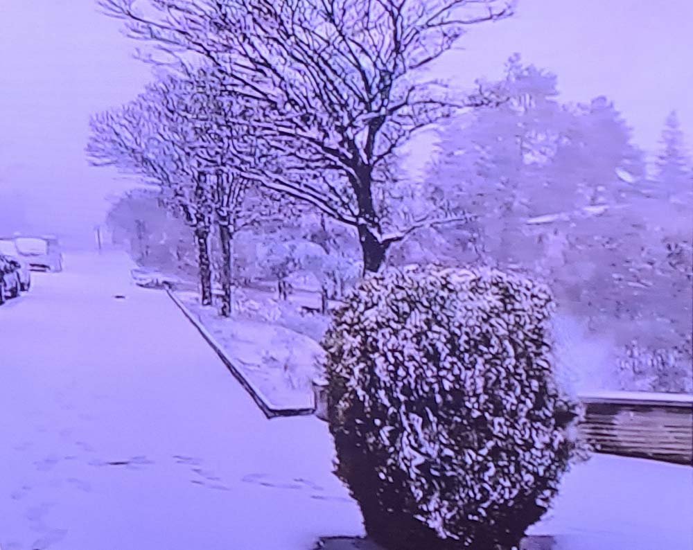 https://slategray-llama-803595.hostingersite.com/2025/02/19/ kar-yagisi-istanbul-ve-ankarada-alarm-verdi/