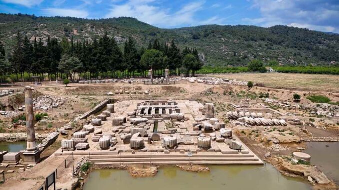folkar saya holding 1750771595_Apollon Tapinagi