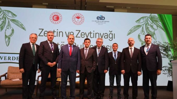 Zeytinyağı sektörü doğru rekolte çalışması ve AB’den kota istiyor - İntroHaber